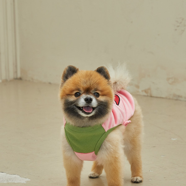 Jiffpom t outlet shirt