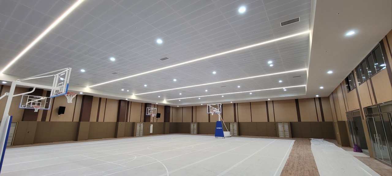 SZ Metal Clip in Panel