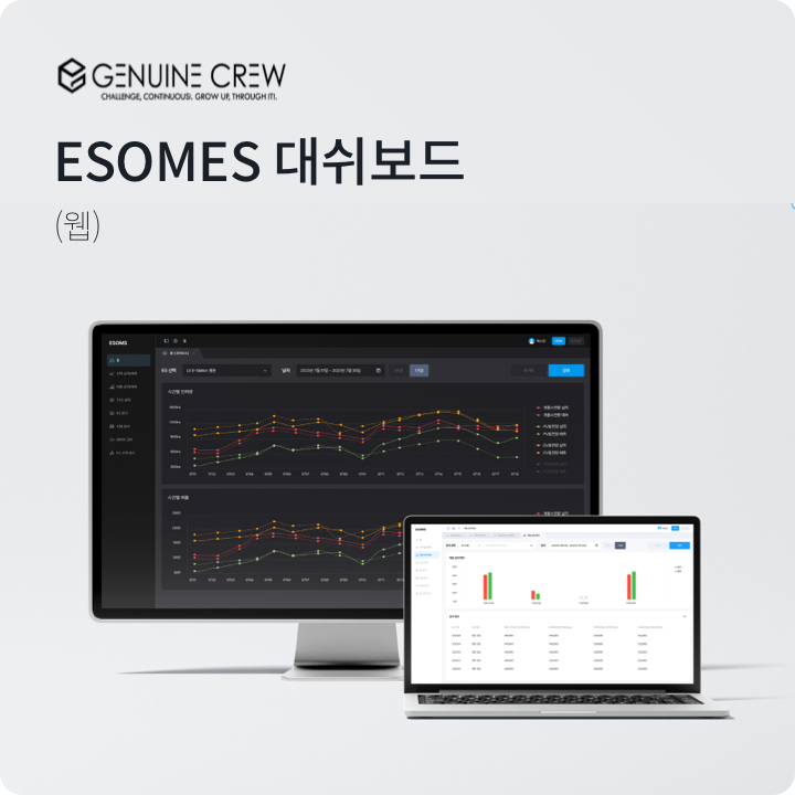 ESOMES 대시보드 공개 작업 사례