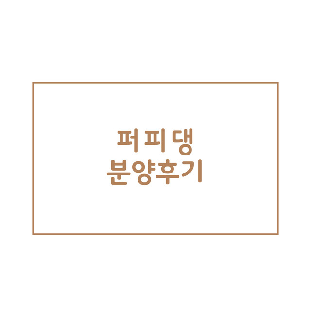 퍼피댕분양후기
