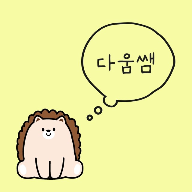다움쌤