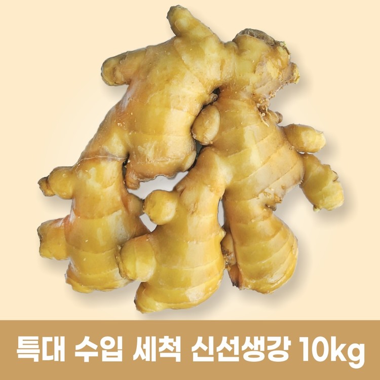 특대 수입세척 신선생강 특대 10kg 신수코리아