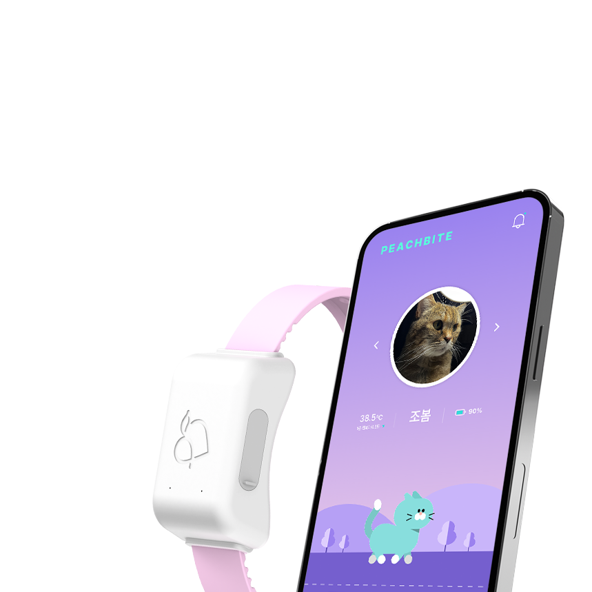 <table class="noBorder" style="width: 100%;"> 	<tbody> 		<tr> 			<td rowspan="2" style="width: 9%;"> 				<br> 			</td> 			<td style="width: 91%;"> 				<br> 			</td> 		</tr> 		<tr> 			<td style="width: 91%;">  				<p style="line-height:1.3;"><span style="font-size: 24px; font-weight:700;">편리함</span></p>  				<p style="line-height:1.3;"> 					<br> 				</p>  				<p style="line-height:1.3;"><span style="font-size: 42px; font-weight:800;">웹페이지로 어디서나<br>스마트하게 관리.<br></span></p> 				<br> 			</td> 		</tr> 	</tbody> </table>
