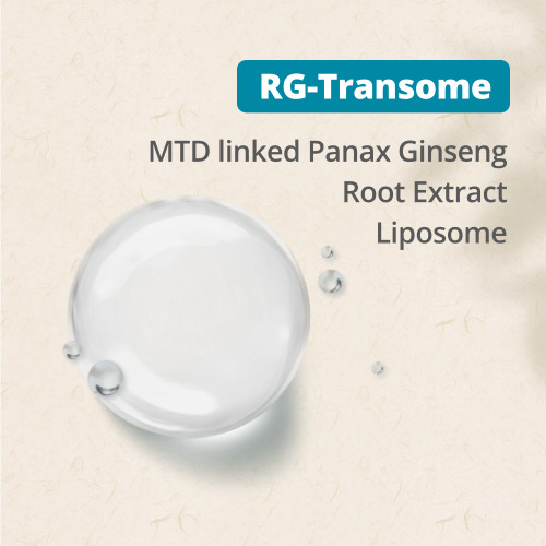 [RG-Transome] MTD linked Panax Ginseng Root Extract Liposome : 프로셀테라퓨틱스