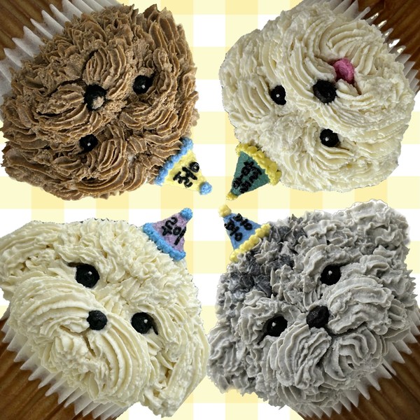 [경기 동탄/택배] 푸드포퍼피