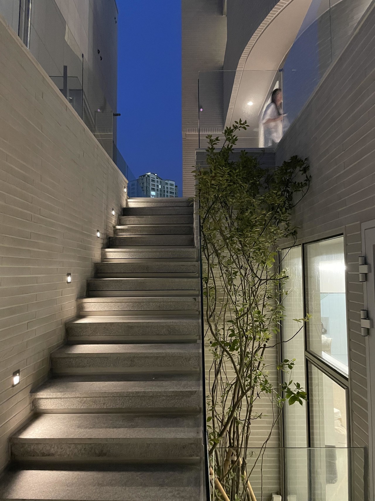 <p style="font-weight:bold; letter-spacing:0.7px; margin:0;">소우주 </p>