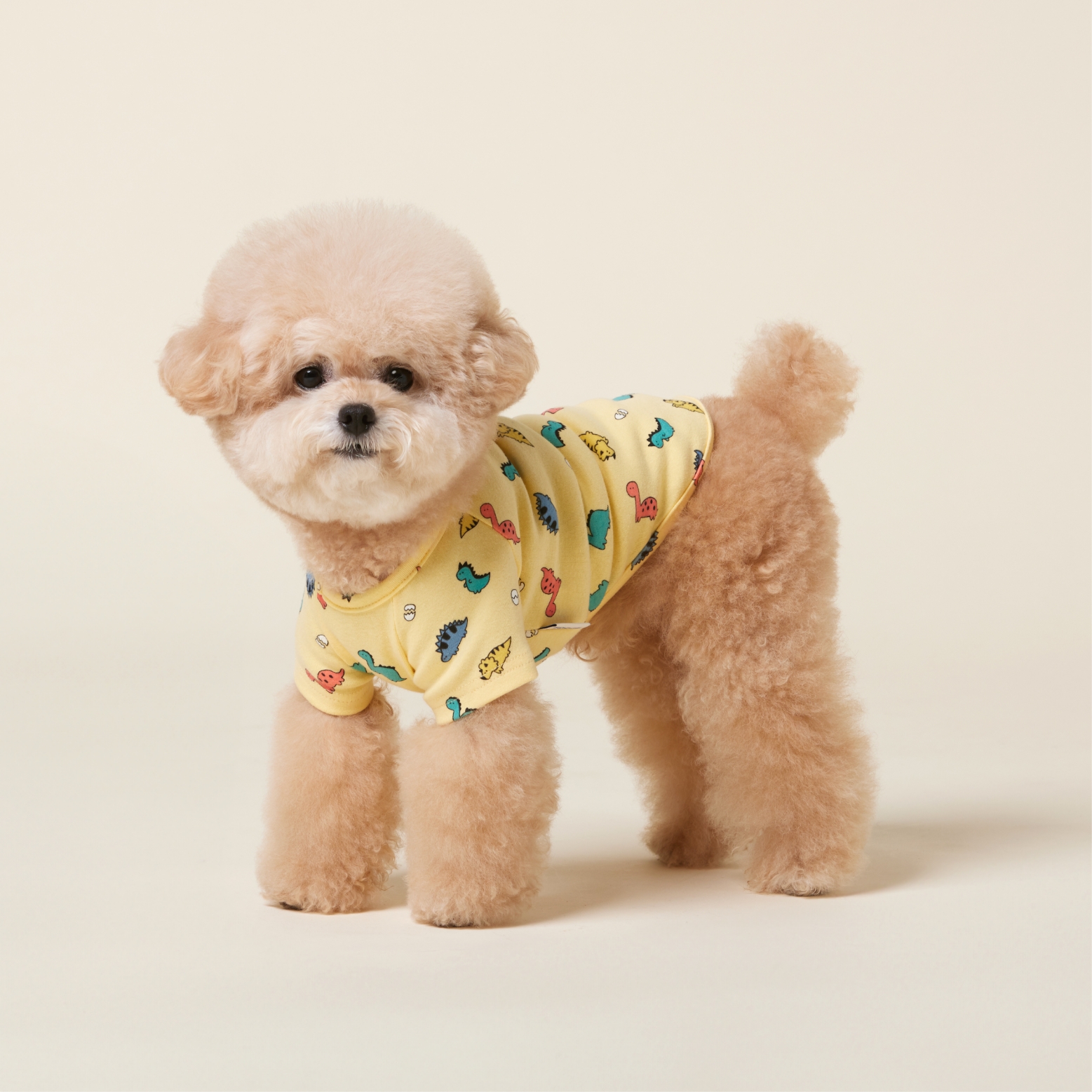 포독스 포근포근 이너 4종 4DOGS