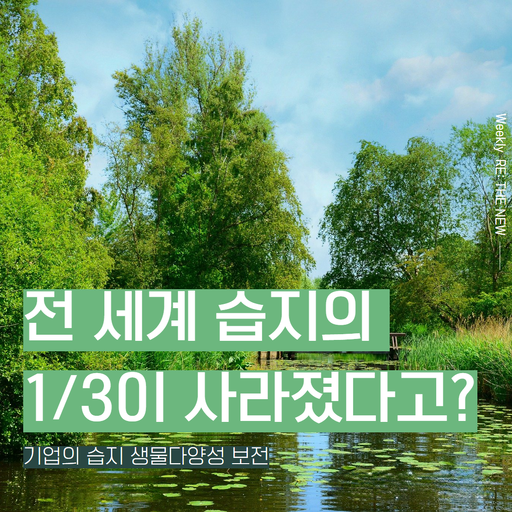 [기업의 습지 생물다양성 보전] 전세계 습지의 3분의 1이 사라졌다고? : NEWSLETTER