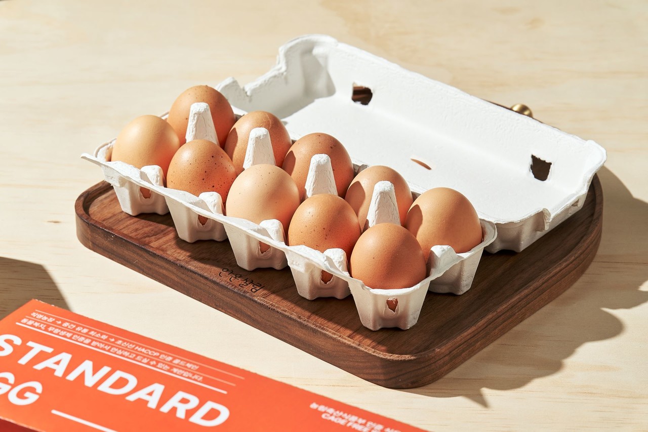 Objekt Kollektion Phone Case