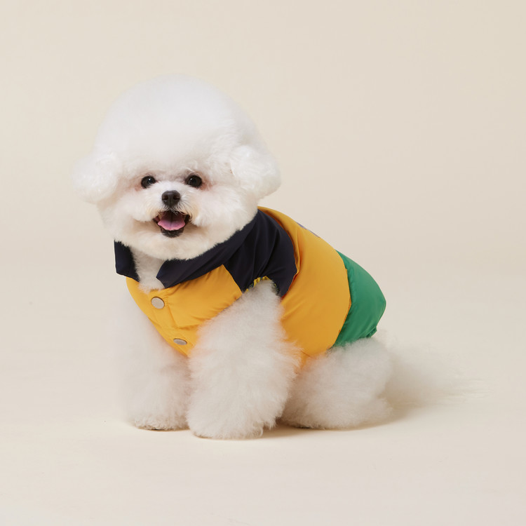 포독스 컬러블록 패딩 옐로블록 4DOGS