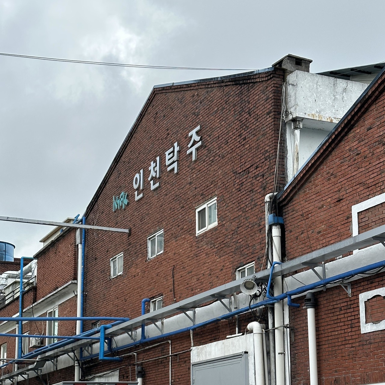 e48175a595656.jpg