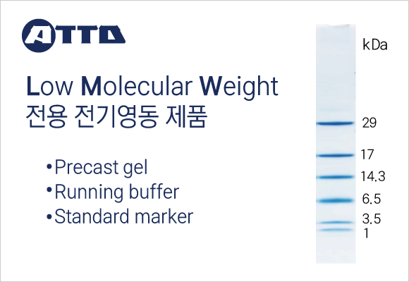 Low molecular weight용 Tricine-SDS-PAGE 제품