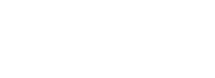 IBLINK