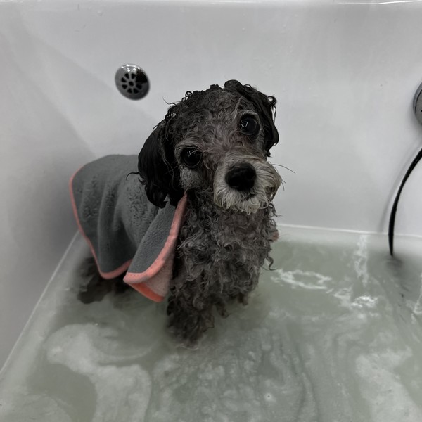 [경남 창원] 싹독싹독