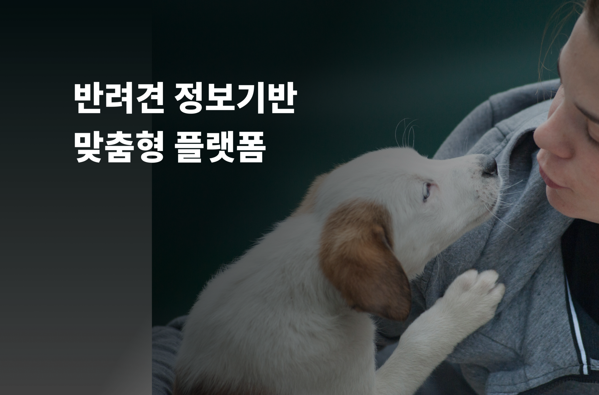 반려견 정보기반 맞춤형 플랫폼