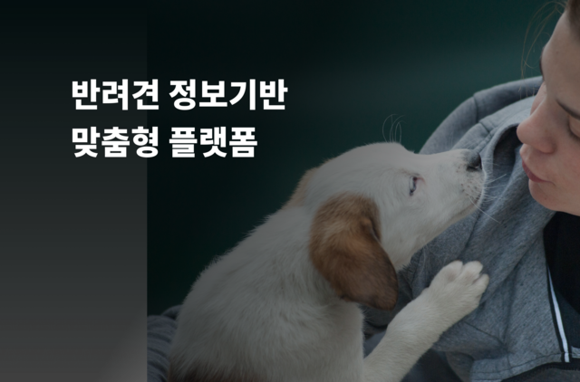 반려견 정보기반 맞춤형 플랫폼
