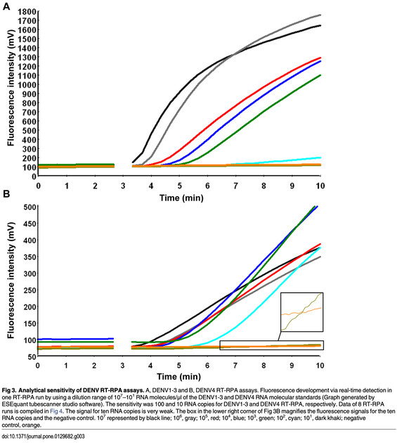 Recombinase Polymerase Amplification Assay for Rapid Diagnostics of ...