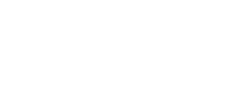 rebel corporation