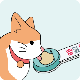 <br><h6><b>스푼을 통해 나오는 간식을 맛있게 급여해 주세요.</b></h6>