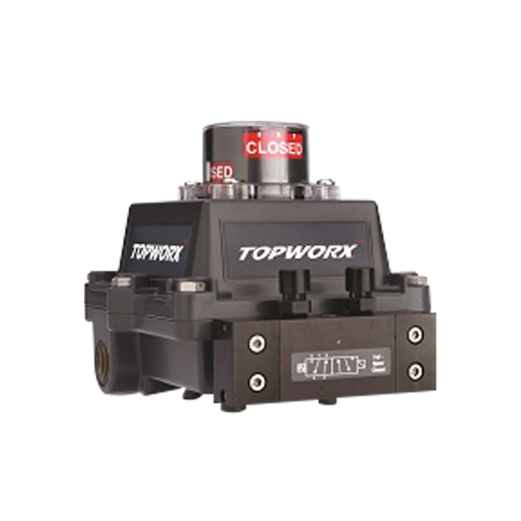 [TOPWORX] DXP 밸브파크