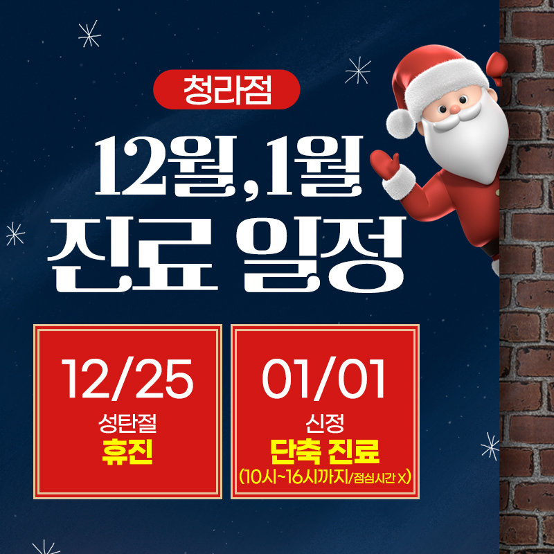진료일정