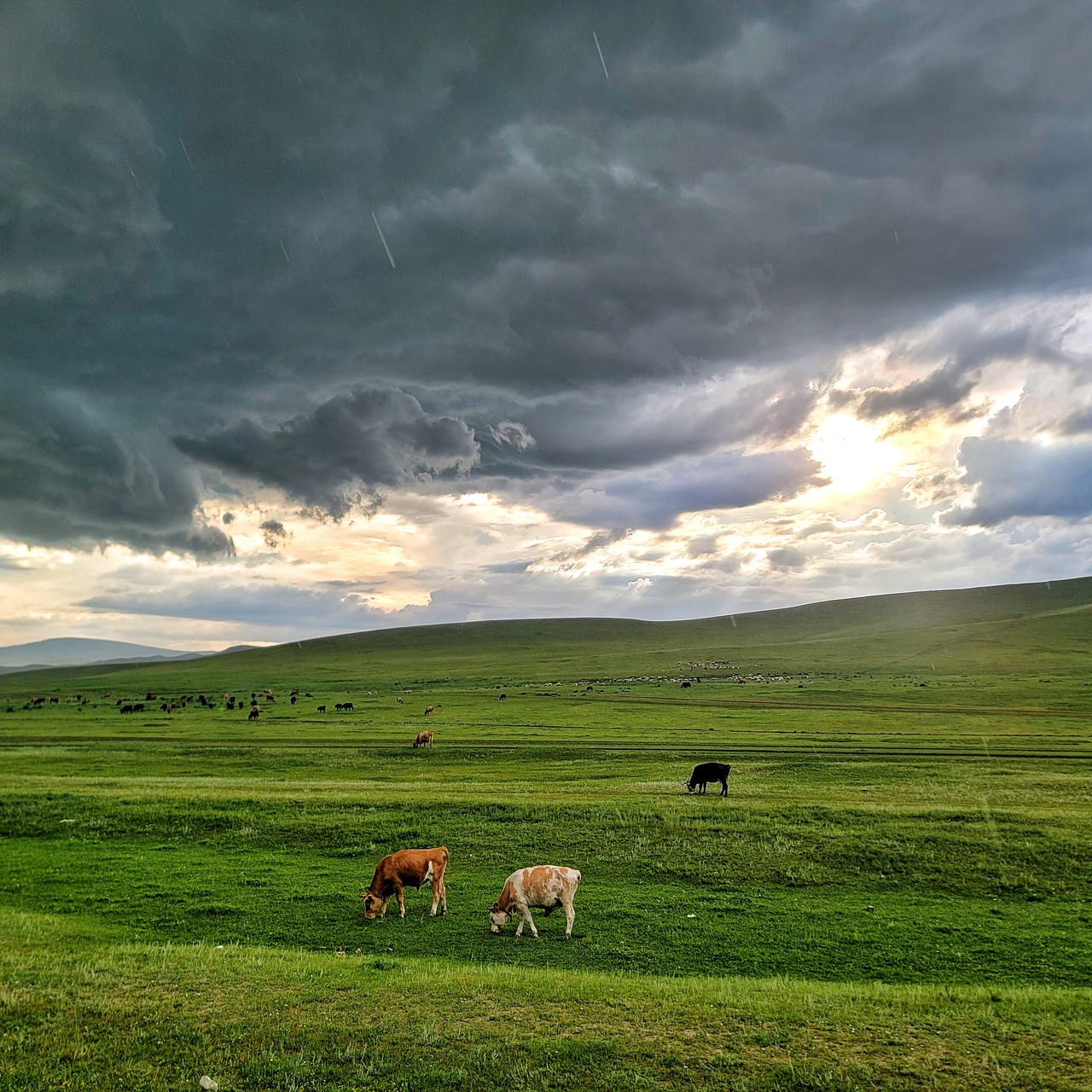 KHANGAI