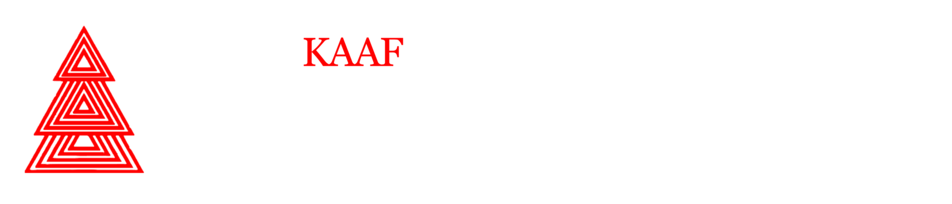 2023 Christmas Run