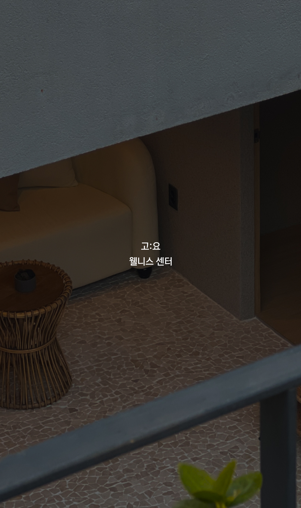 자세히 보기