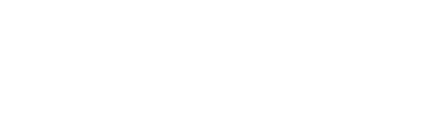 VILLIV
