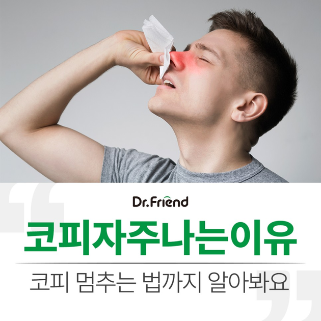 코피 자주 나는 이유 및 멈추는 법 : 닥터프렌드