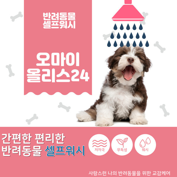 [부산 남구] 올리스24 부산남구점