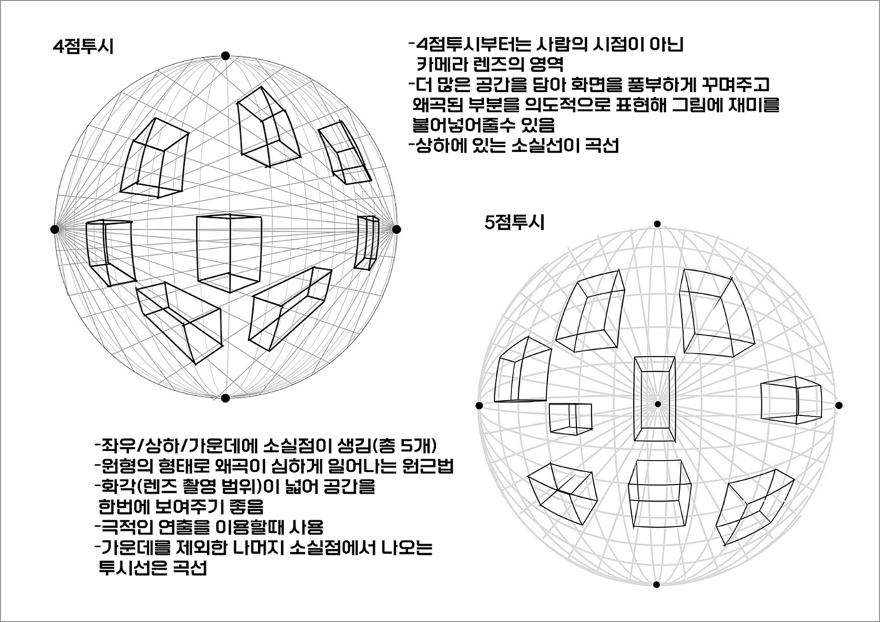 4점·5점 투시기초