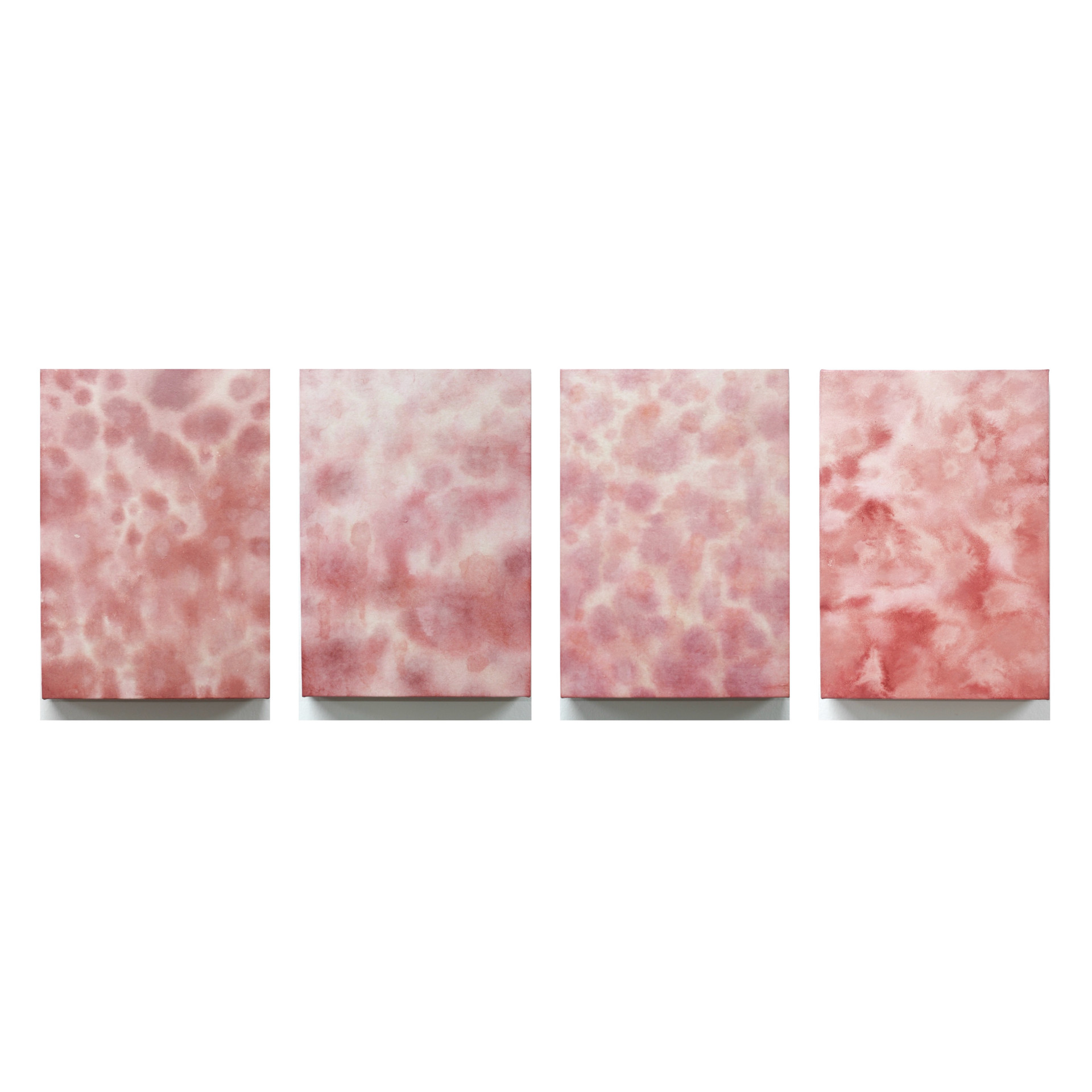 열화(Red eruptions), 2023, 장지에 채색, 매트 바니쉬 (Color, matte varnish on Korean paper), 4 panels (each panel 26 × 18 cm)
