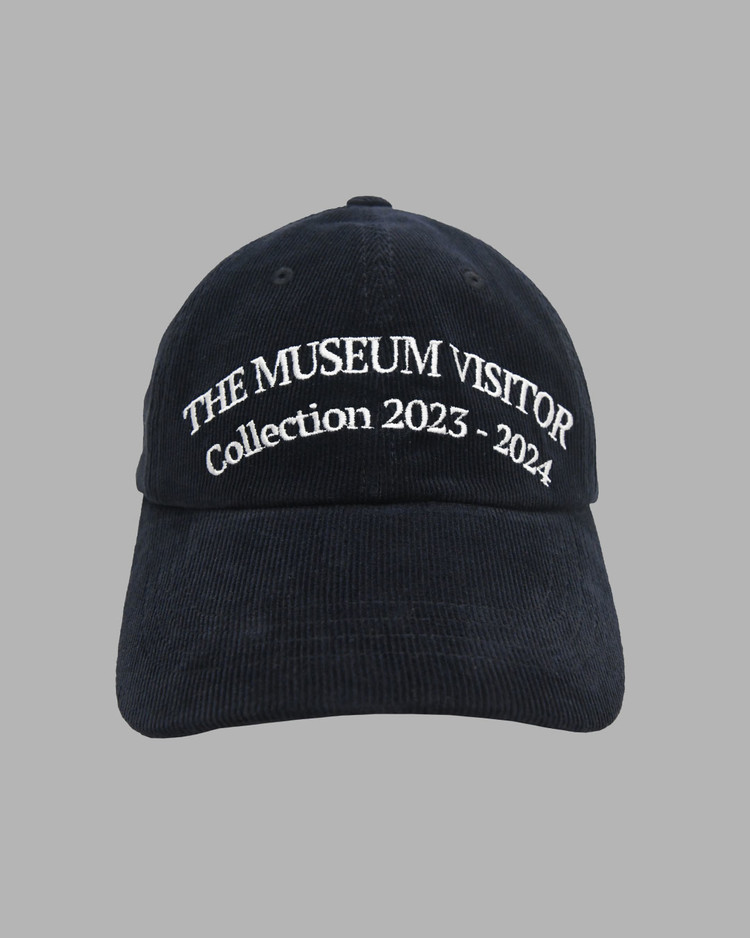 THE MUSEUM VISITOR