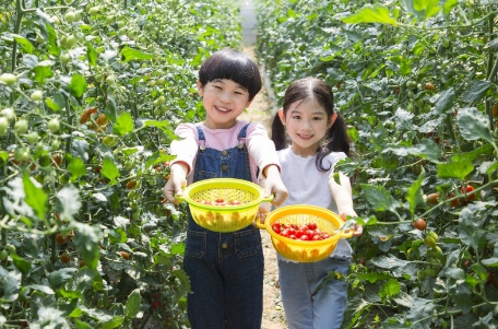 아동복지