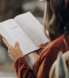 구약의 파노라마