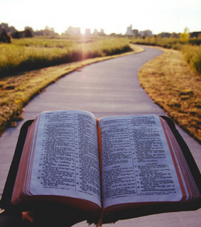 신약의 파노라마