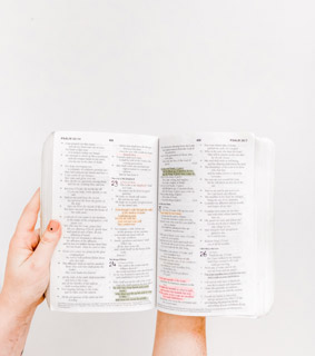 성경 각권 연구