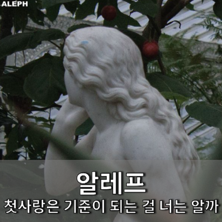 첫사랑은 기준이 되는걸 너는 알까 — 알레프