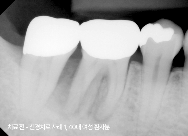 <STRONG>21. 04. 16</STRONG>