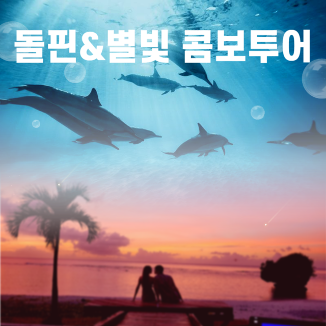 돌핀크루즈탕기슨별빛투어콤보