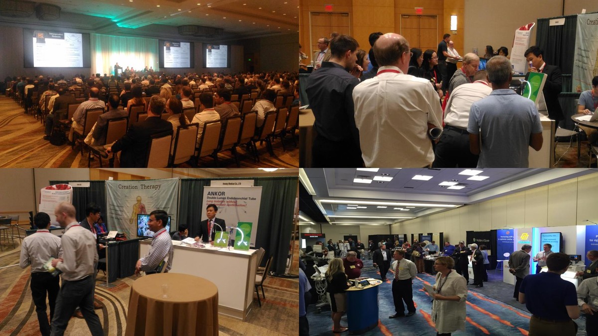 2018 SCA : Exhibition