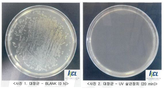 UV 향균시험  성적서 번호 CT20-117683K  대장균 [Escherichia coli ATCC 25922]  살균력 99.9 %