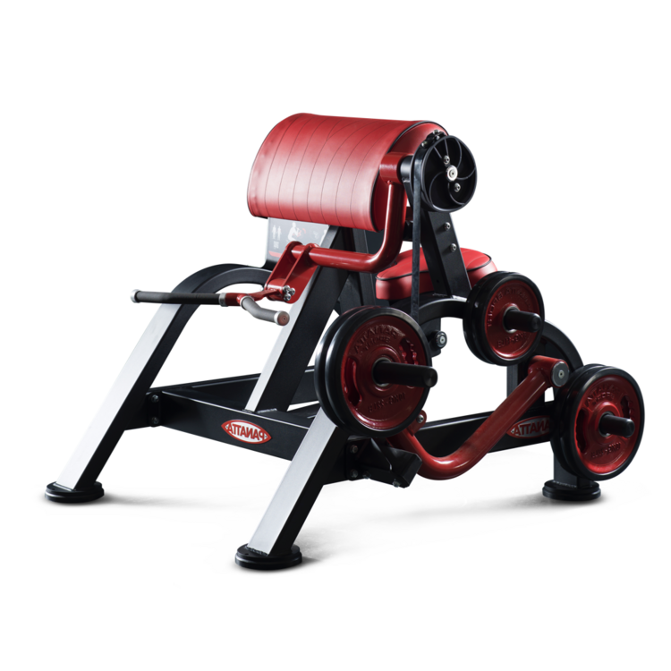 CURLING MACHINE / 1FW351 (Grafite/Red - Black/Red) : PANATTA KOREA