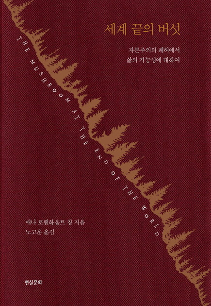KS인력개발 이미지