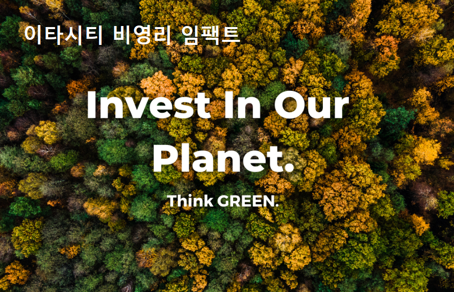  [글로벌] 이타시티 비영리 지구투자보험  <br> 「Invest In Our Planet 」  링크준비중