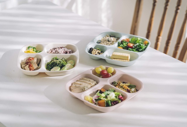 밸런스플레이트