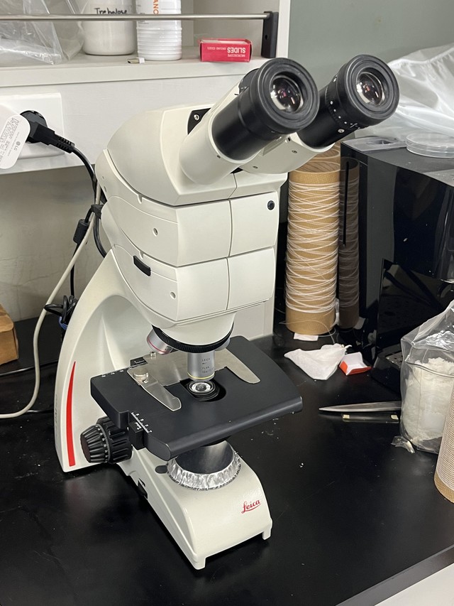 Electron Microscope