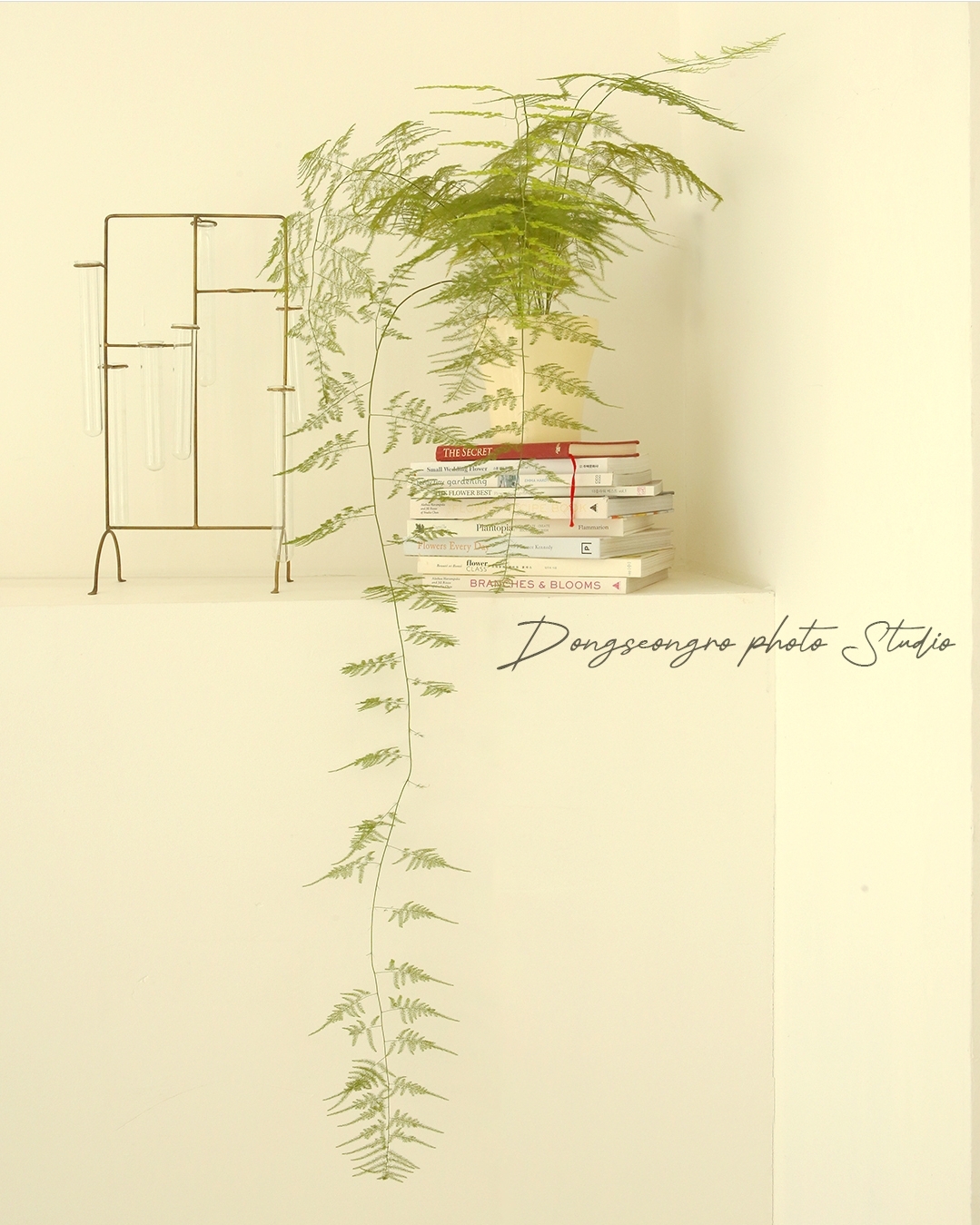 대구사진관, 대구증명사진