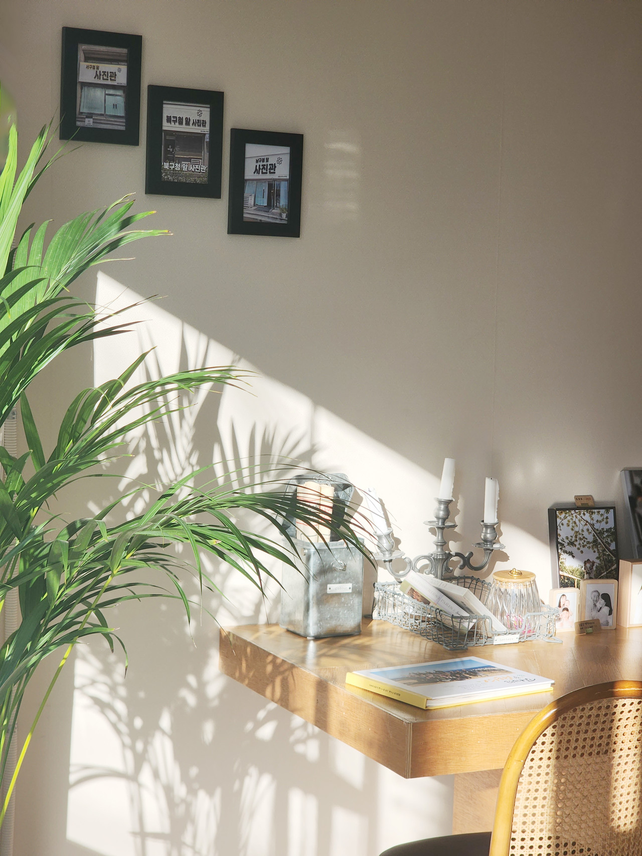 오펠사진관 남구청점, 대구남구청앞사진관 남구청사진관 봉덕동사진관 대구남구사진관